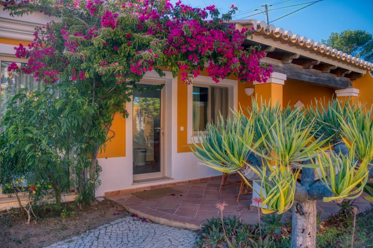Moonshine Guest House With Private Studios And Private Cottage Lagos Exterior foto